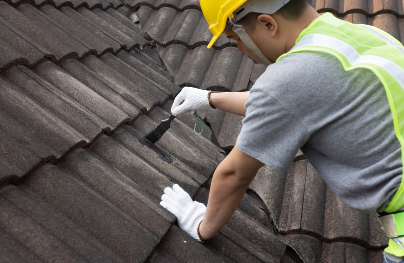 Specialty Roofing Services